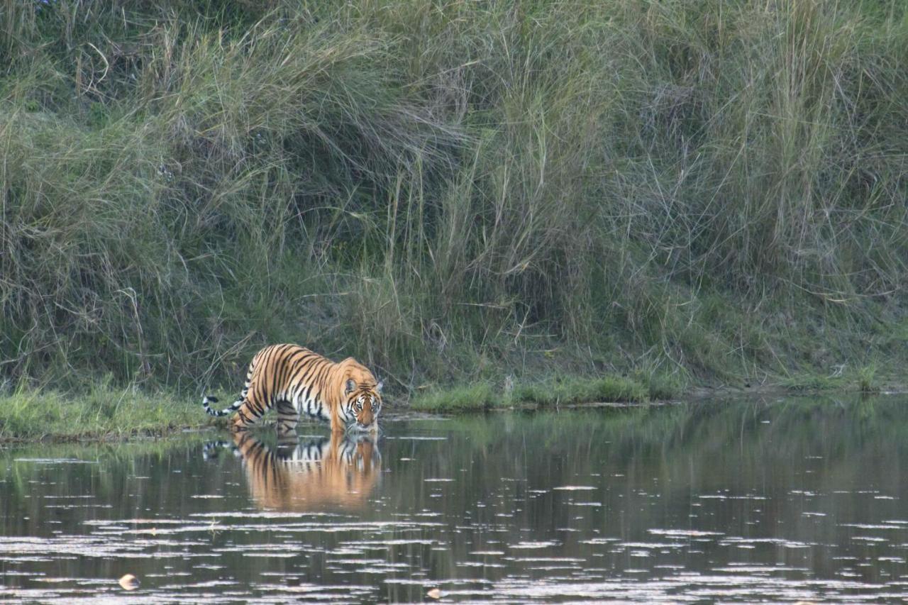 Chitwan Homestay Bharatpur  Bagian luar foto